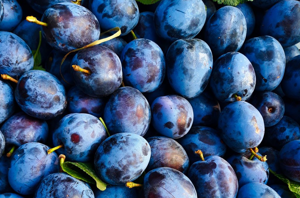 Frutifarm